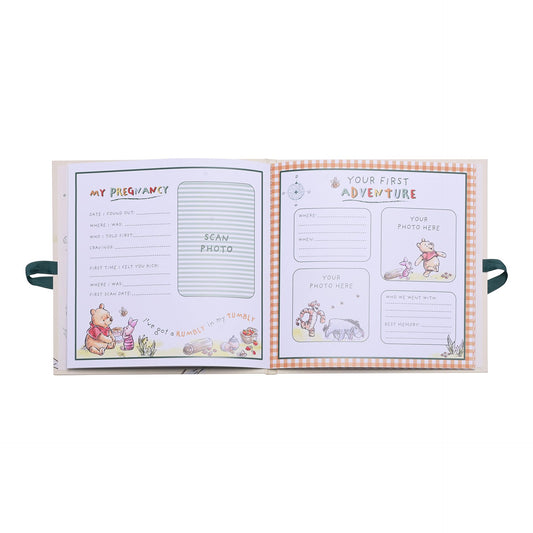 Disney Winnie The Pooh Baby's First Year Record Book