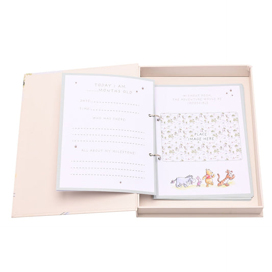Winnie the Pooh Baby Milestone Album & Cards