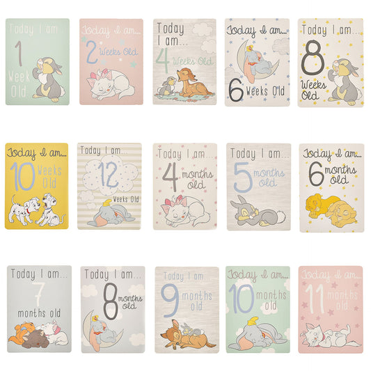 Disney Magical Beginnings Baby Milestone Cards x30