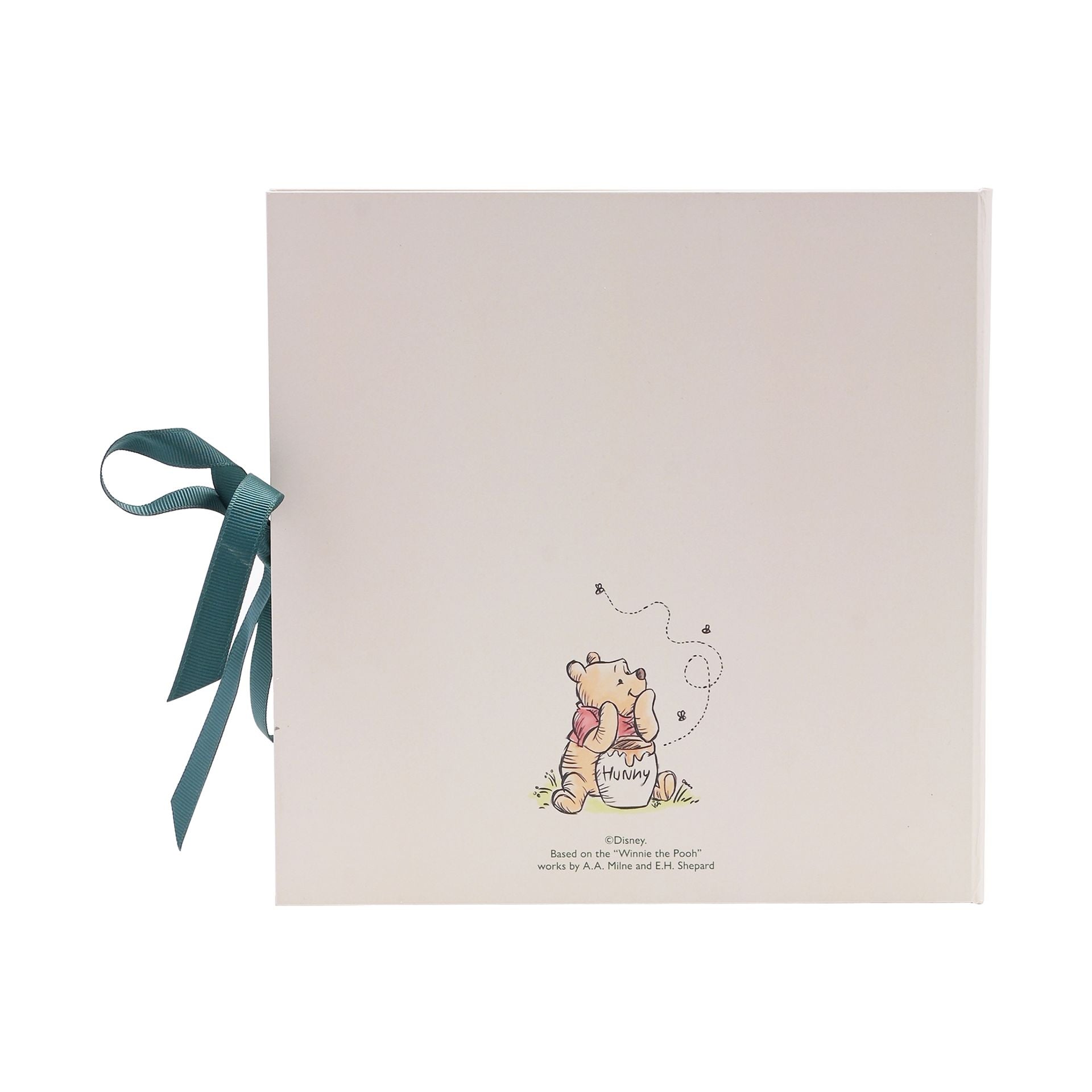 Disney Winnie The Pooh Baby's First Year Record Book
