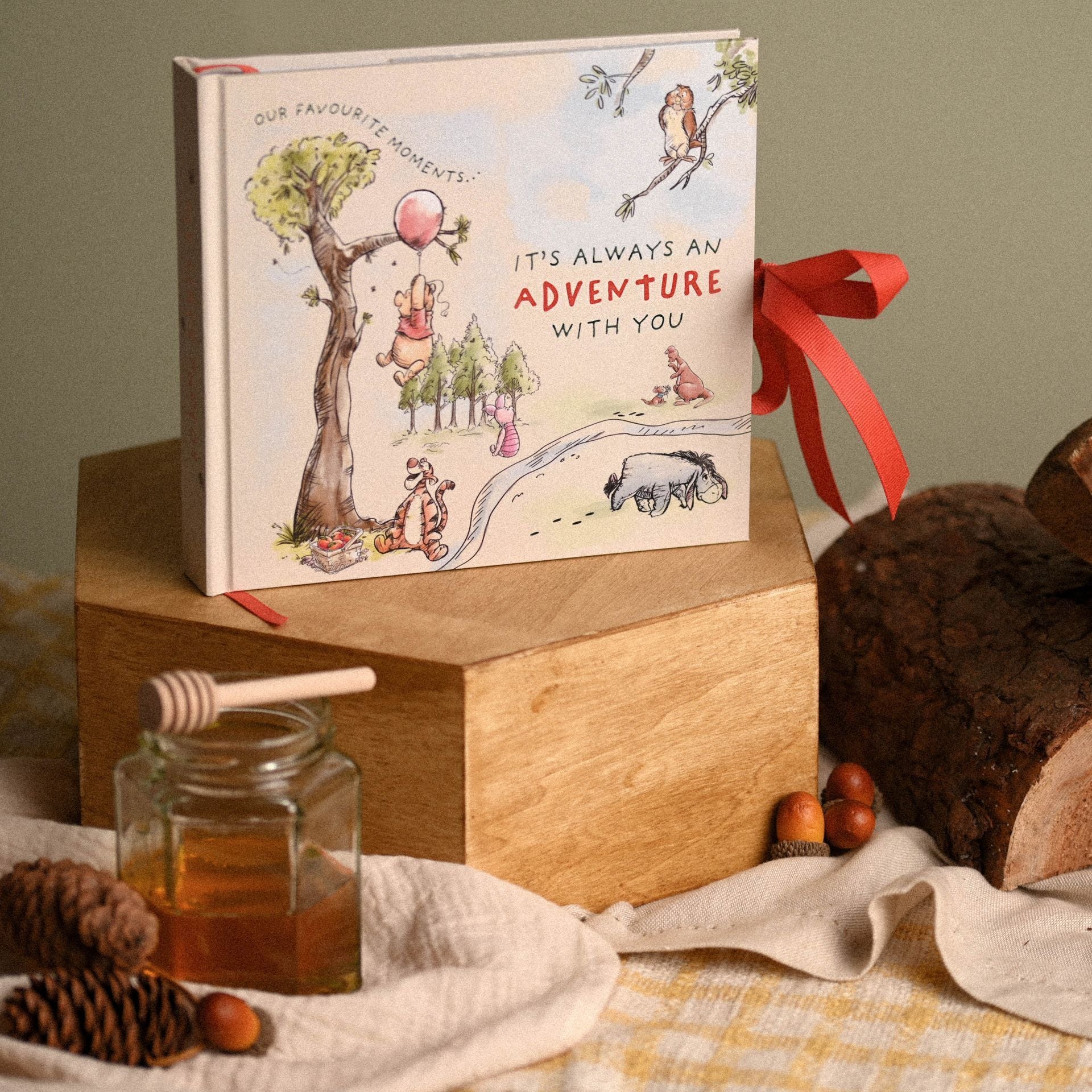 Winnie the Pooh Baby Photo Album