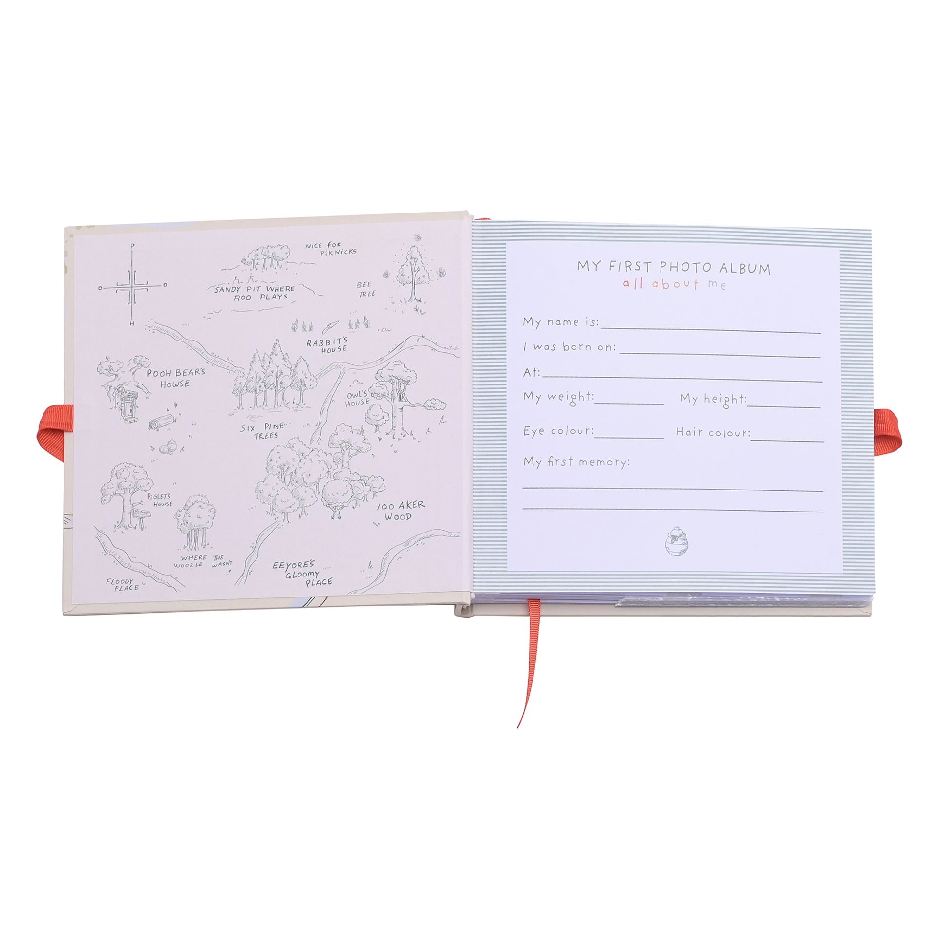Winnie the Pooh Baby Photo Album
