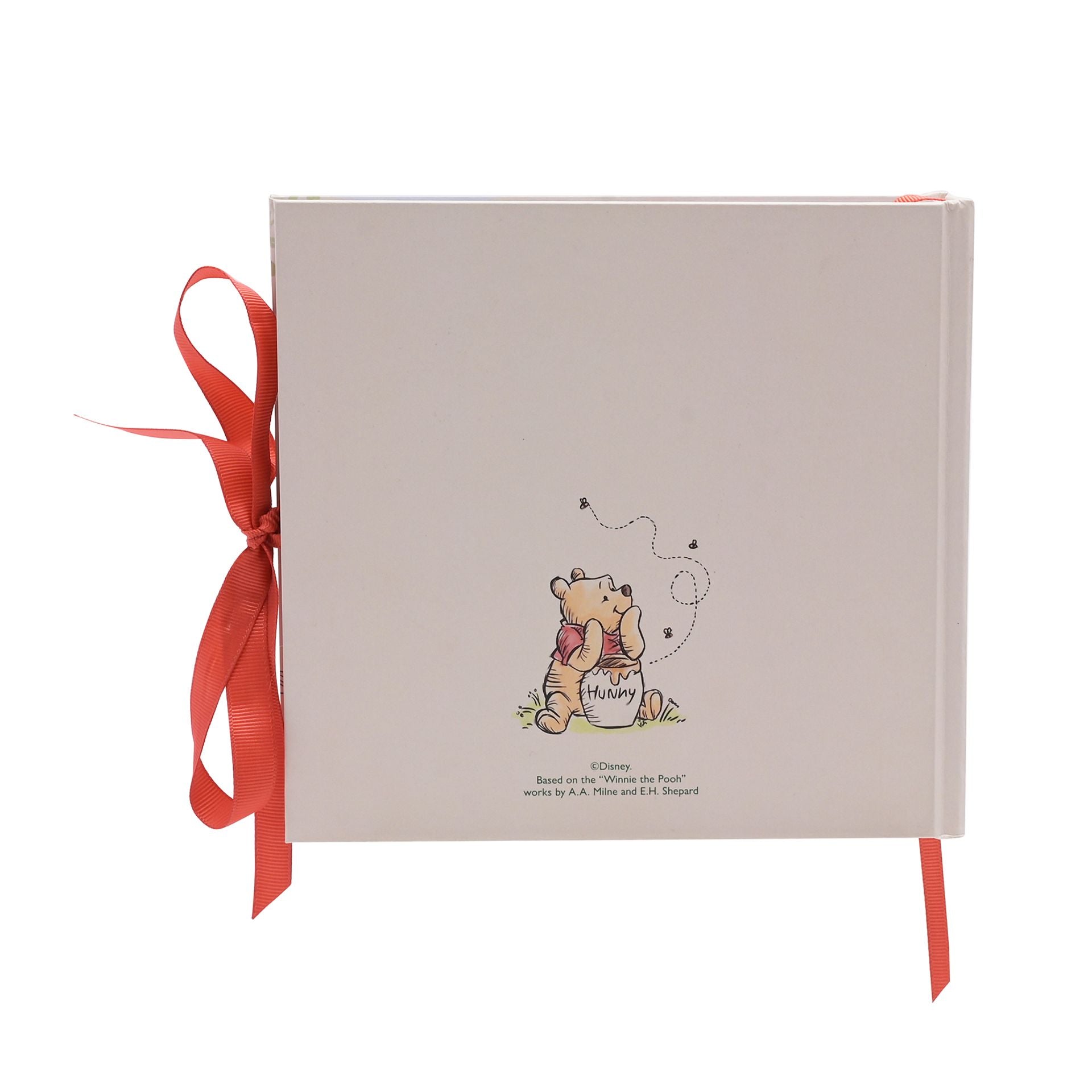 Winnie the Pooh Baby Photo Album