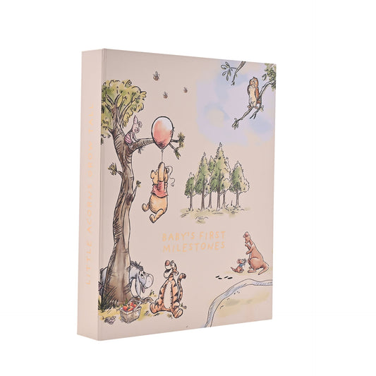 Winnie the Pooh Baby Milestone Album & Cards