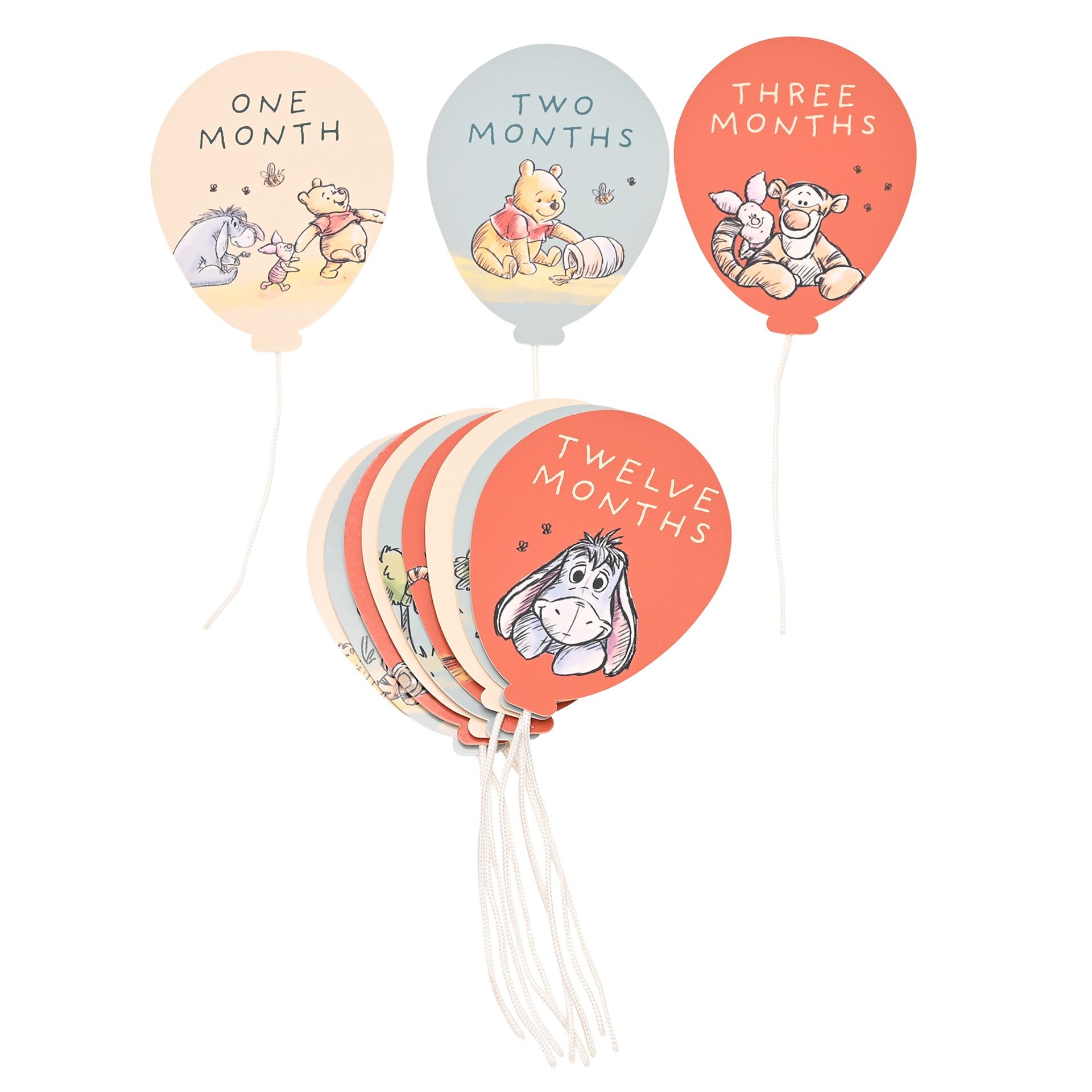 Winnie the Pooh Baby Milestone Album & Cards