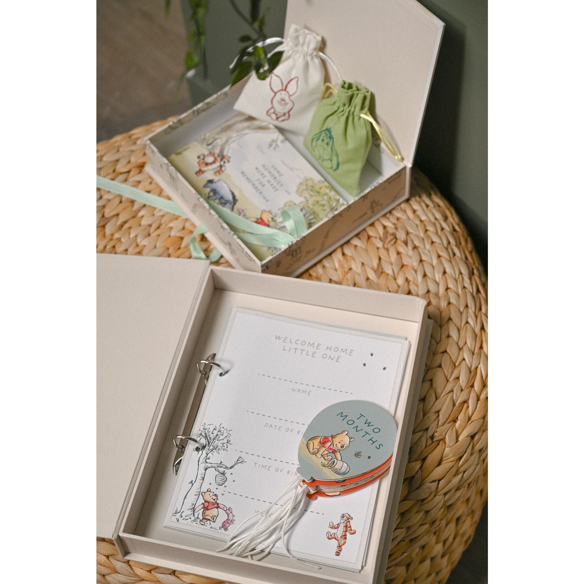 Winnie the Pooh Baby Milestone Album & Cards