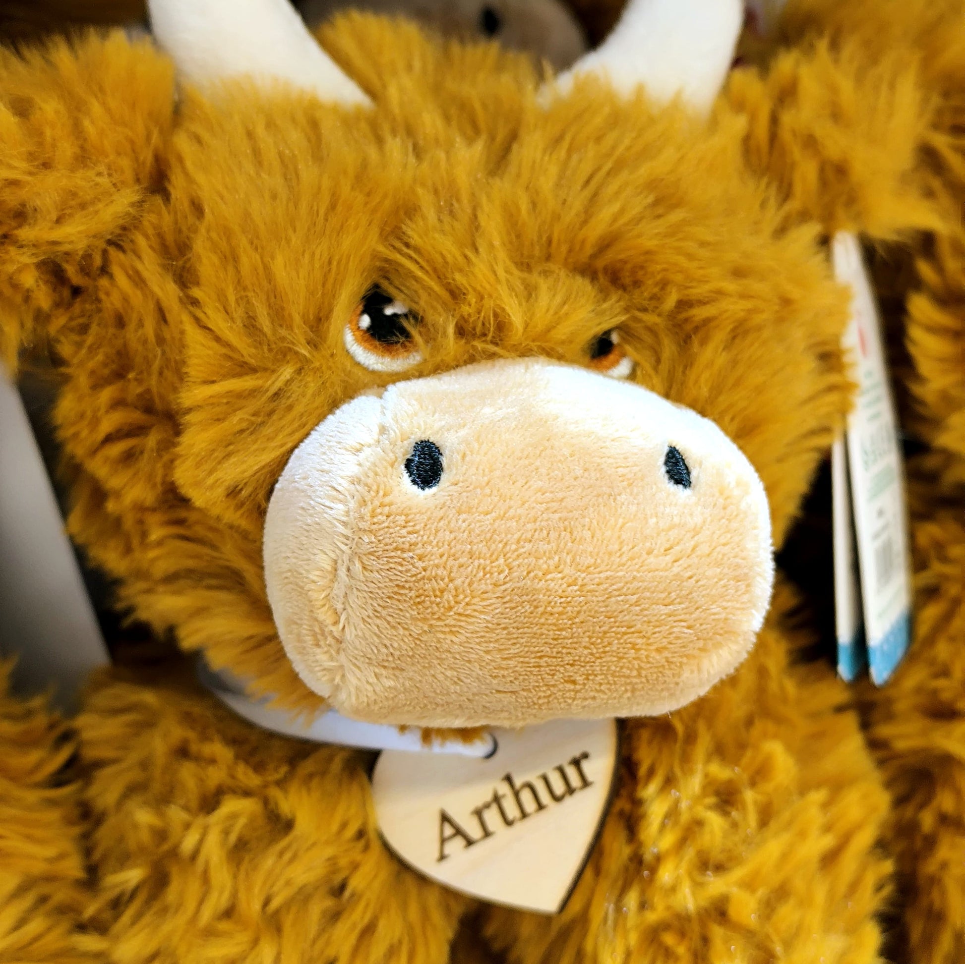 Personalised Highland Cow Soft Toy - 20cm