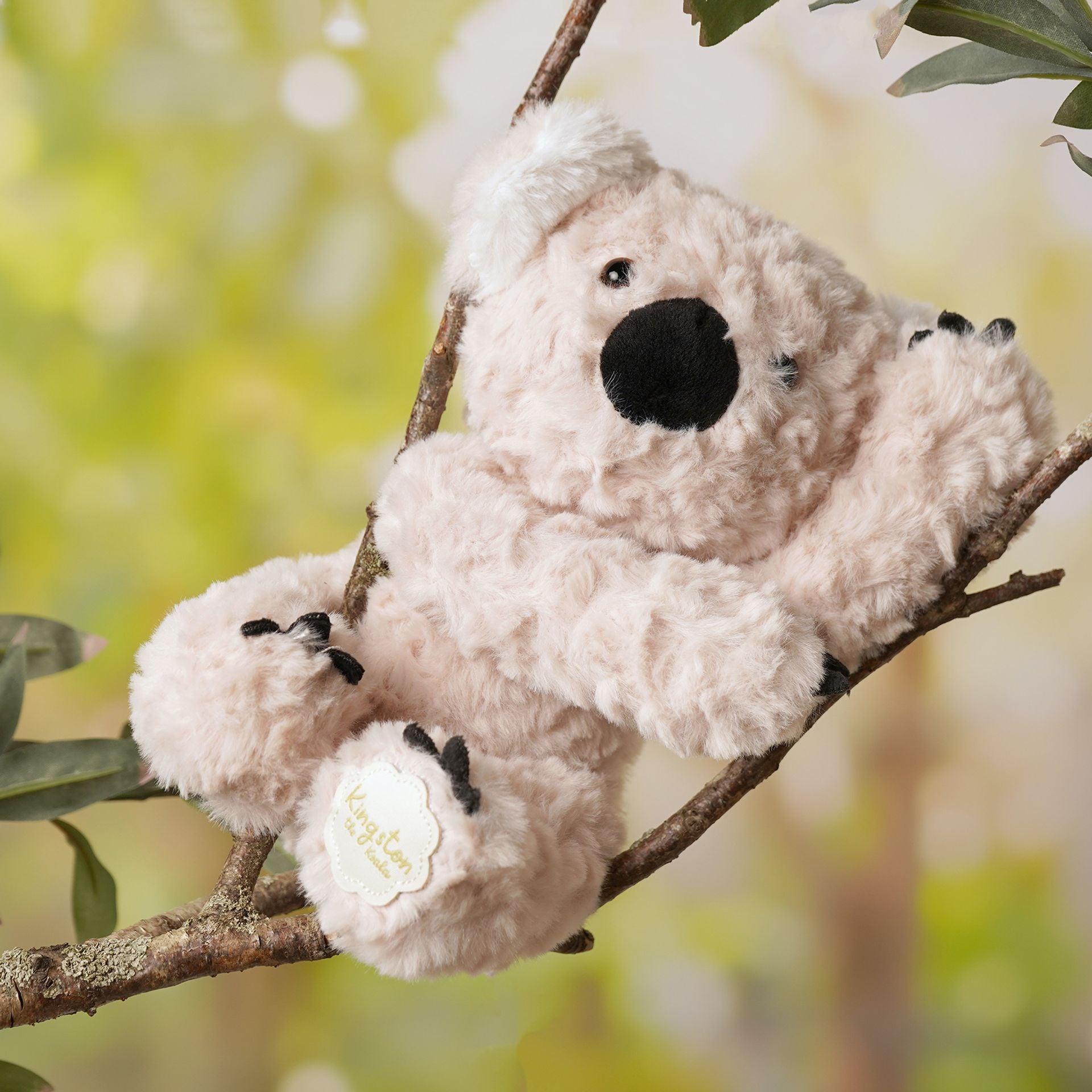 Kingston the Koala Soft Toy by Softies - 22cm